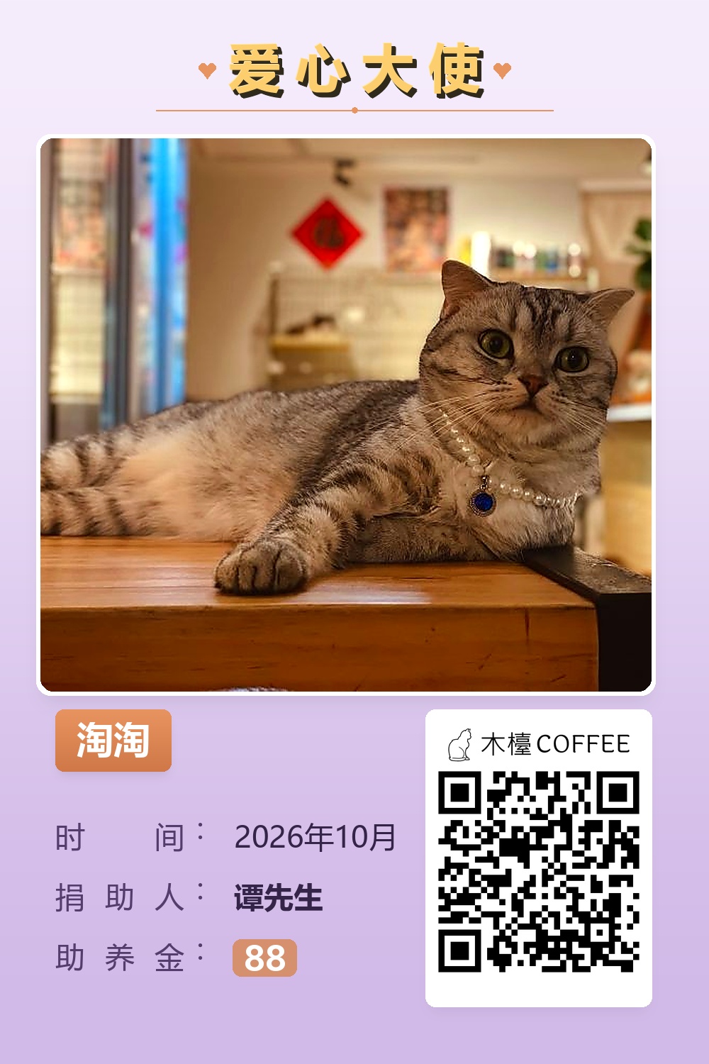 淘淘 谭先生