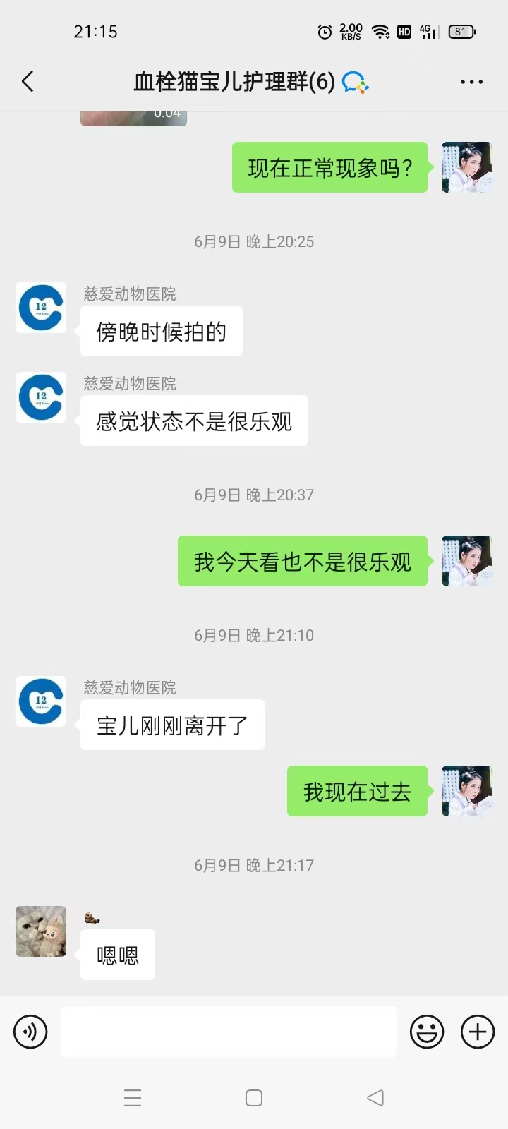 宝儿回喵星
