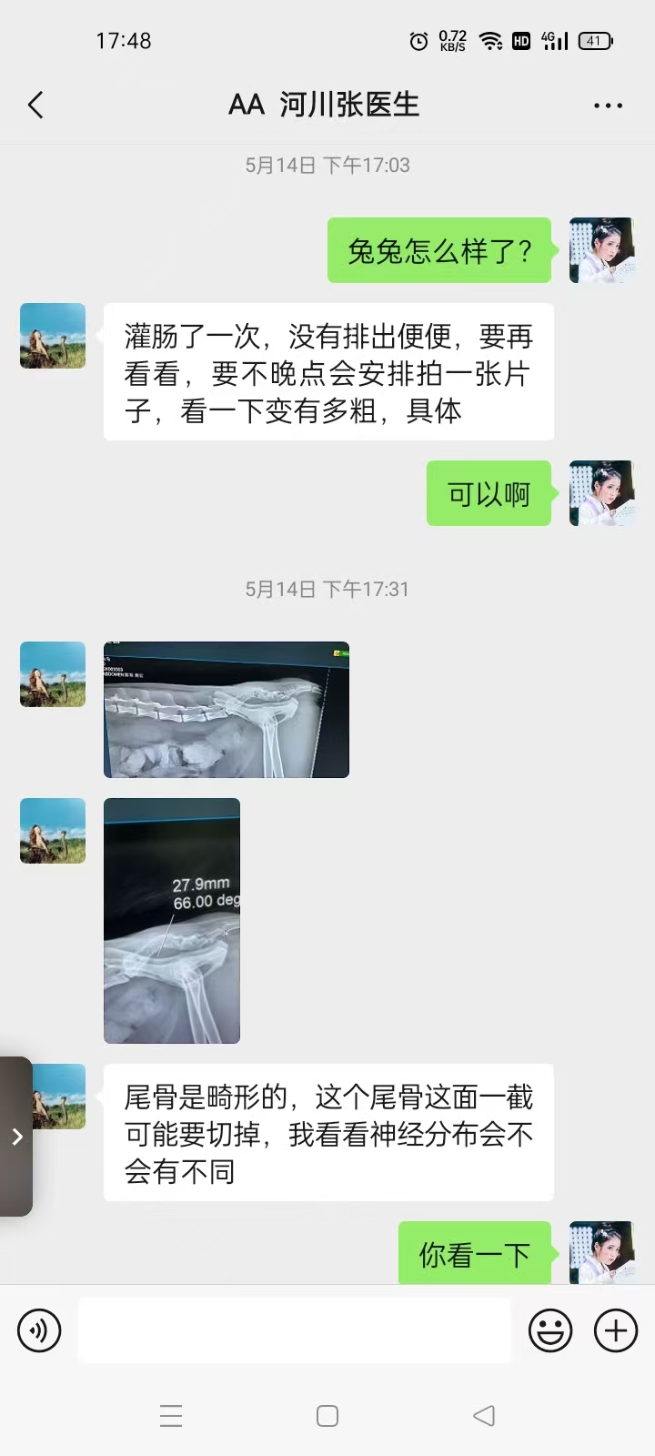兔兔便秘日记