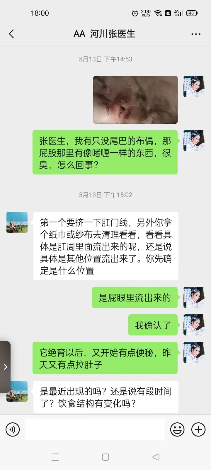 兔兔便秘日记