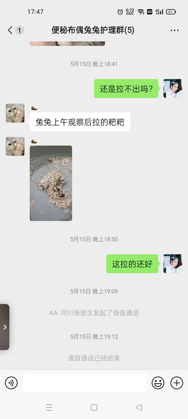 兔兔便秘日记