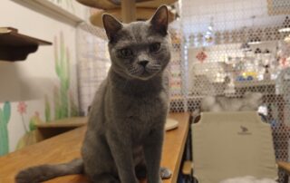 mmexport1721317471958