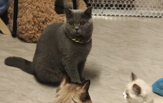 mmexport1732114517441