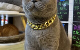 mmexport1738314913611